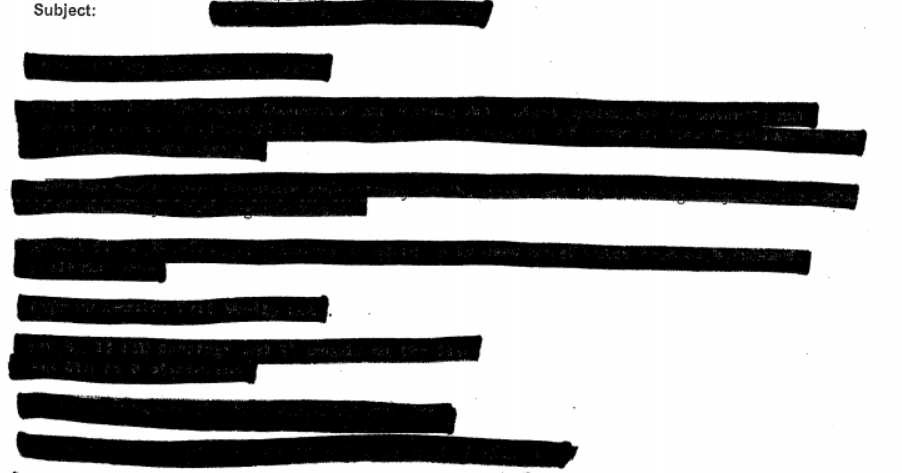 Screenshot of redacted document